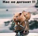 Ангеліна Томчук фотография #12 (источник - https://vk.com/id154754001)