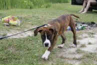 Кирилл Митяев фотография #20 (источник - https://vk.com/id6828811)