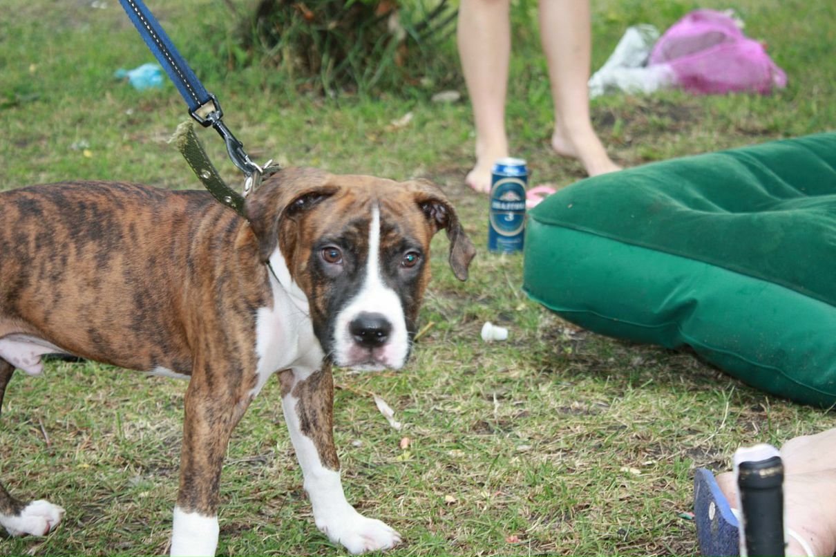 Кирилл Митяев фотография #24