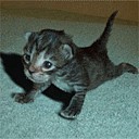 Каріна Ковальчук фотография #2 (источник - https://vk.com/id71177749)