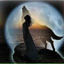 Фотография Wolf White