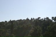 Сандра Ищенко фотография #44 (источник - https://vk.com/id854765)
