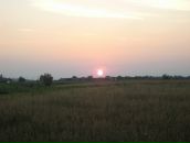 Олексій Бартосевич фотография #21 (источник - https://vk.com/id44964477)