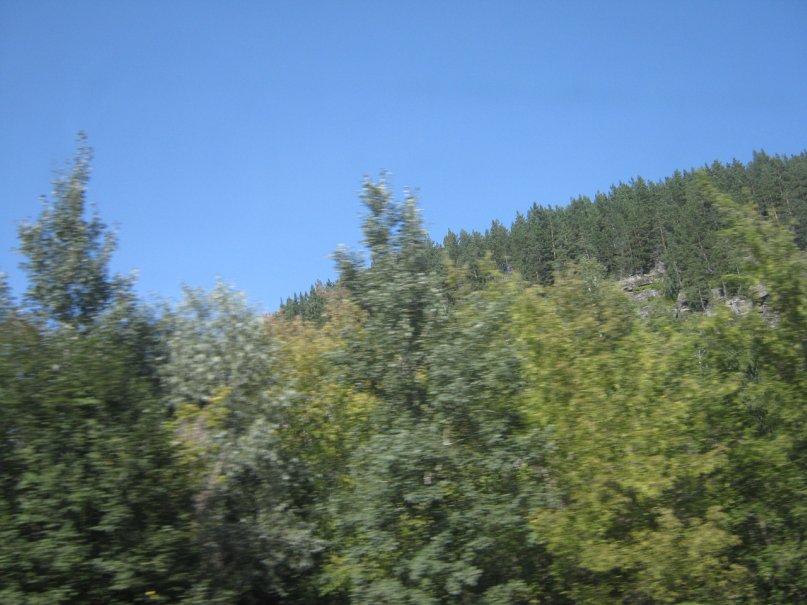 Лев Шкробов фотография #24