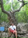 Олег Бойківський фотография #21 (источник - https://vk.com/id11213569)