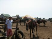 Олег Бойківський фотография #22 (источник - https://vk.com/id11213569)