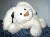 Фотография Плотниковой Анны