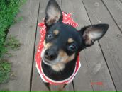 Фотография Сумцовой Татьяны