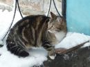 Фотография Агишевой Татьяны