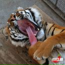 Фотография Задунайского Дмитрия