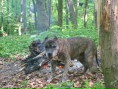 Юля Камінська фотография #5 (источник - https://vk.com/id68986702)