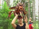 Ļena Logina фотография #42 (источник - https://vk.com/id70437948)