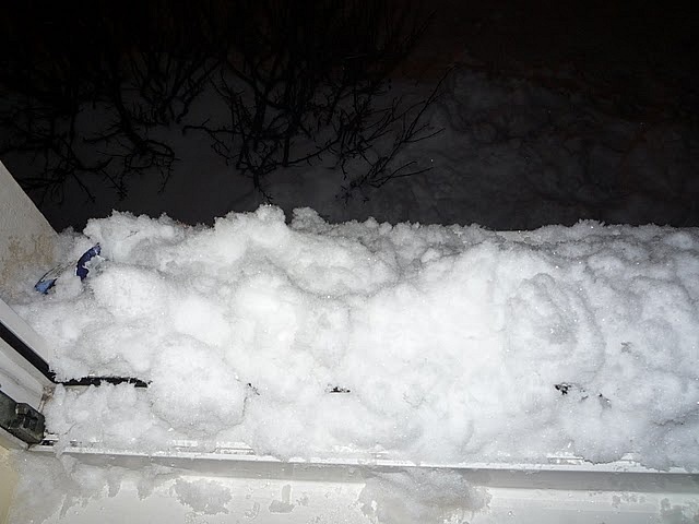 Даниил Горбатенко фотография #36