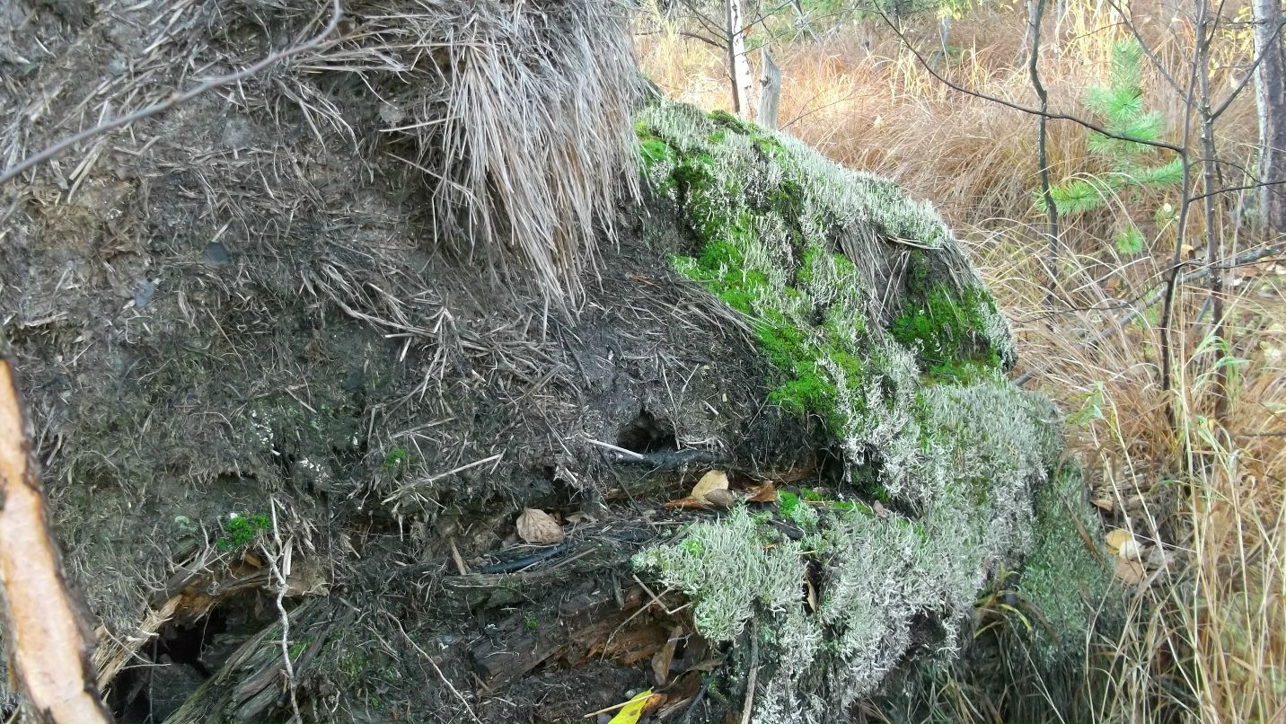 Александр Бабенко фотография #34