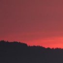 Юля Матвійчук фотография #8 (источник - https://vk.com/id135907201)