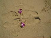 Фотография Перовой Натальи