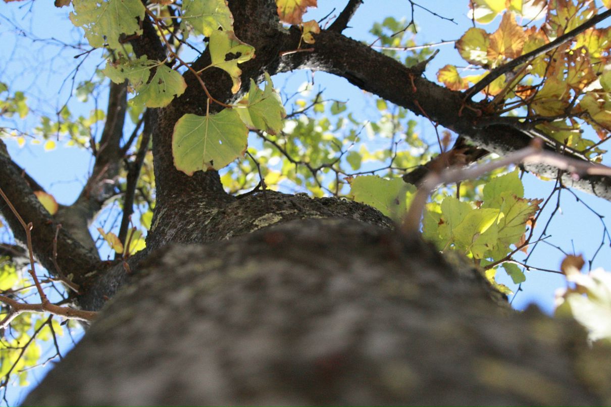 Андрей Рогалевич фотография #42