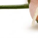 Іра Сакундяк фотография #7 (источник - https://vk.com/id35307343)