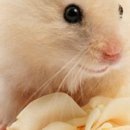 Іра Сакундяк фотография #9 (источник - https://vk.com/id35307343)