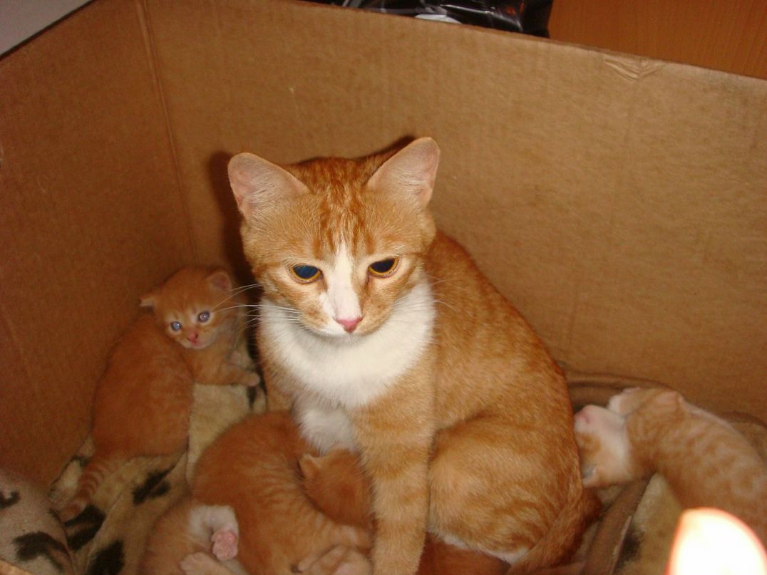 Оля Хапцова фотография #43