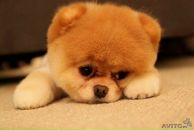 Фотография Жуйковой Ани