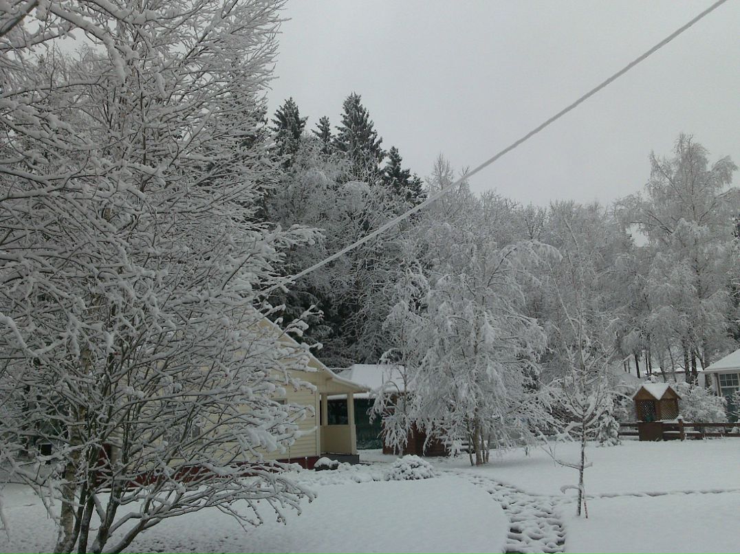 Дмитрий Витько фотография #49