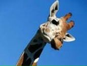 Фотография Пономаревой Натальи