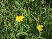 Фотография Размановой Анны