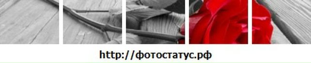 Каміла Андріанова фотография #2 (источник - https://vk.com/id132585986)