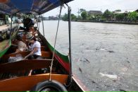 Дмитрий Савельев фотография #46 (источник - https://vk.com/id1194272)