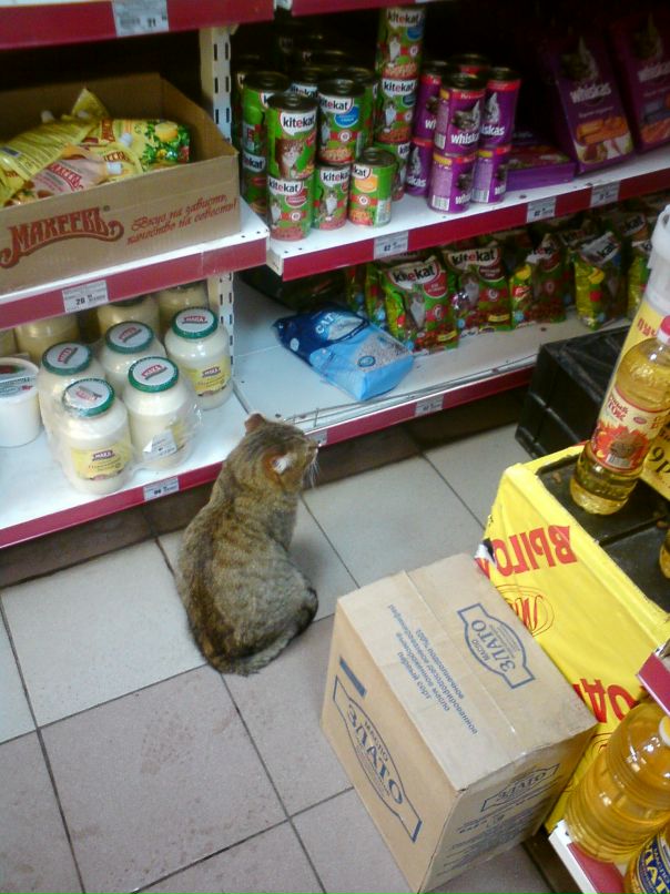 Сергей Табунов фотография #29