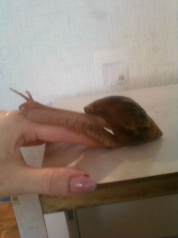 Катя Иванова фотография #44