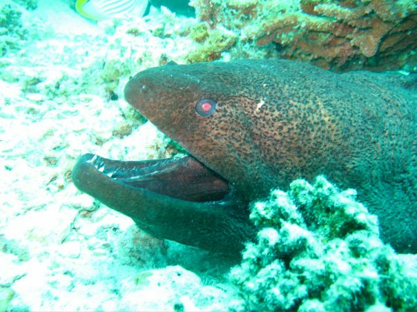 Евгений Коновалов фото №44