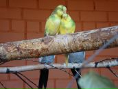 Фотография Марцевой Евгении