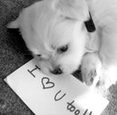 Іра Кондратюк фотография #32 (источник - https://vk.com/id98966546)