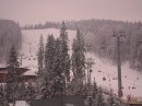 Міша Павлик фотография #2 (источник - https://vk.com/id71064146)
