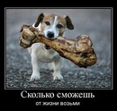 Olga Olla фотография #3 (источник - https://vk.com/id138036530)