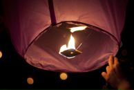 Дмитрий Алексеев фотография #39 (источник - https://vk.com/id488410)