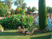 Фотография Писарев Павел