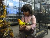 Фотография Андреевой Яны