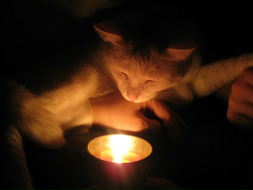 №7, Светлана Рыжова №7, Светлана Рыжова