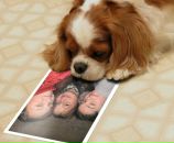 Евеліна Ковач фотография #47 (источник - https://vk.com/id95620929)