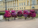 Cem Turker фотография #8 (источник - https://vk.com/id145942799)