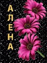 Лєна Дячук фотография #19 (источник - https://vk.com/id165280618)