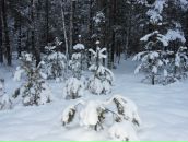 Вова Таргоній фотография #43 (источник - https://vk.com/id62501575)