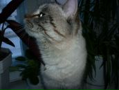 Фотография Докторовой Марины