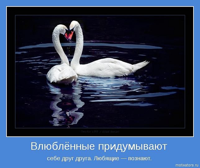 Natalya *** фотография #35