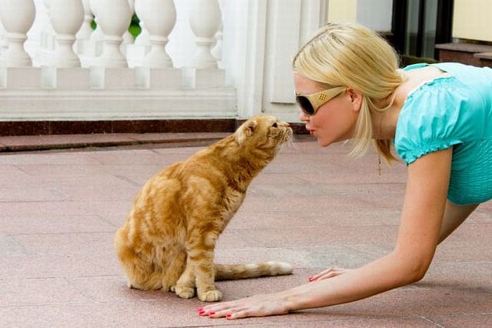 Дмитрий Javelin фотография #50