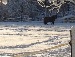 Марія Мосійчук фотография #37 (источник - https://vk.com/id86225869)