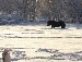 Марія Мосійчук фотография #36 (источник - https://vk.com/id86225869)